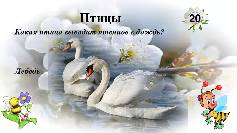 Интерактивная игра "Любители природы"