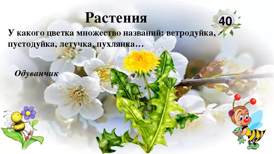 Интерактивная игра "Любители природы"