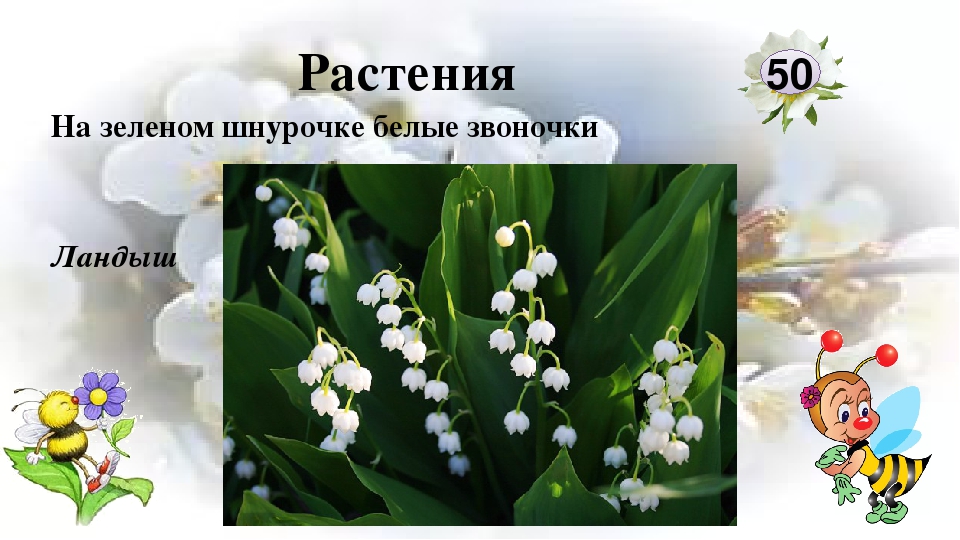 Интерактивная игра "Любители природы"