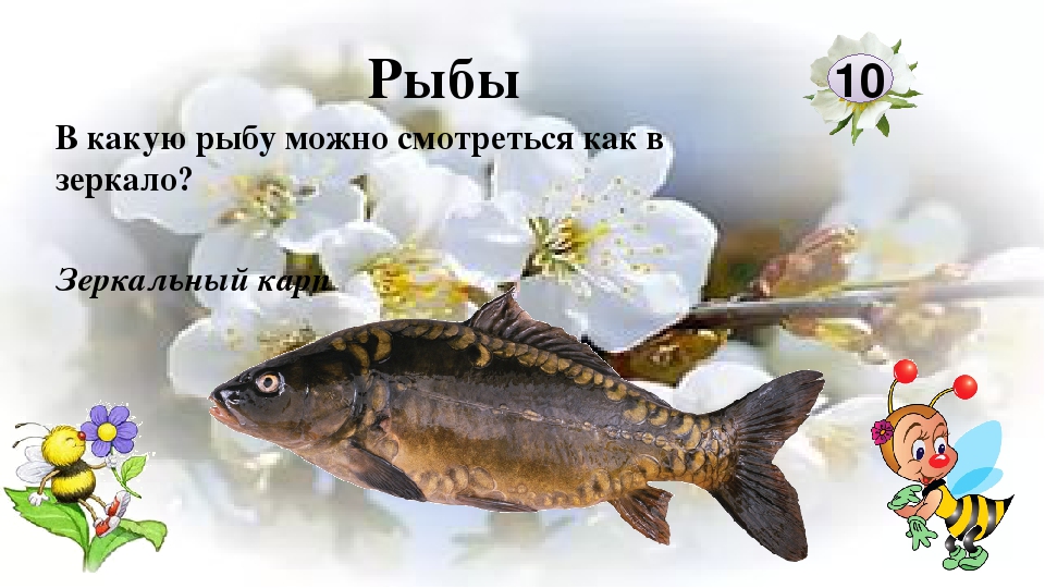 Интерактивная игра "Любители природы"