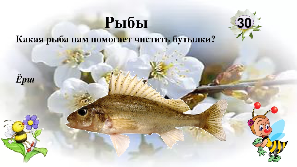 Интерактивная игра "Любители природы"