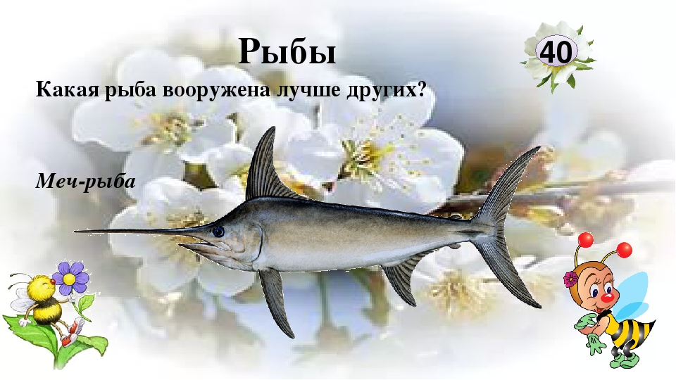 Интерактивная игра "Любители природы"