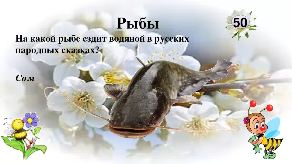 Интерактивная игра "Любители природы"