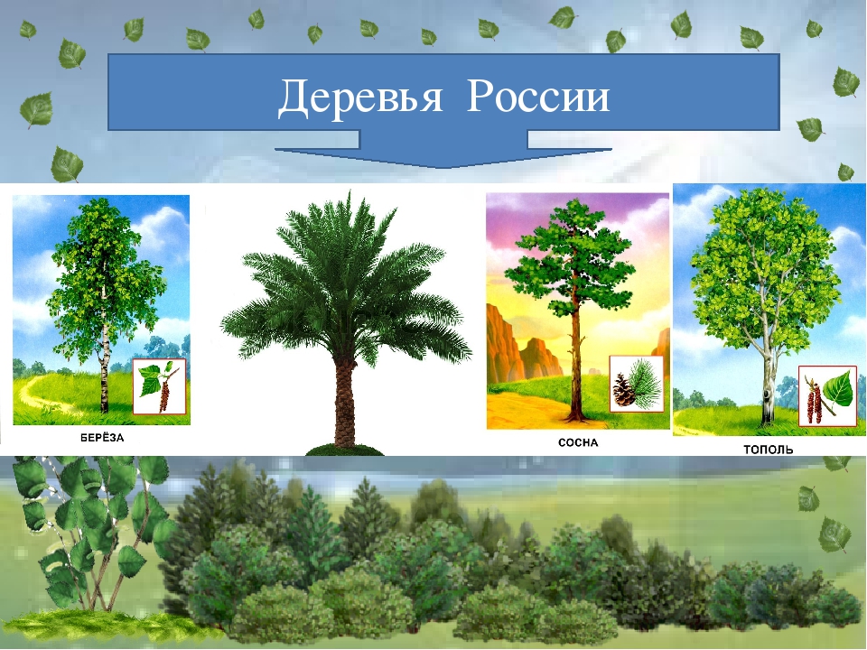 Интерактивное дидактическое пособие-игра "Четвертый лишний". Тема "Природа России"