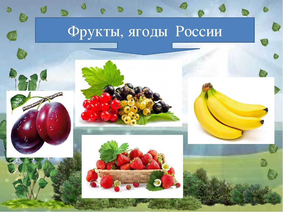 Интерактивное дидактическое пособие-игра "Четвертый лишний". Тема "Природа России"