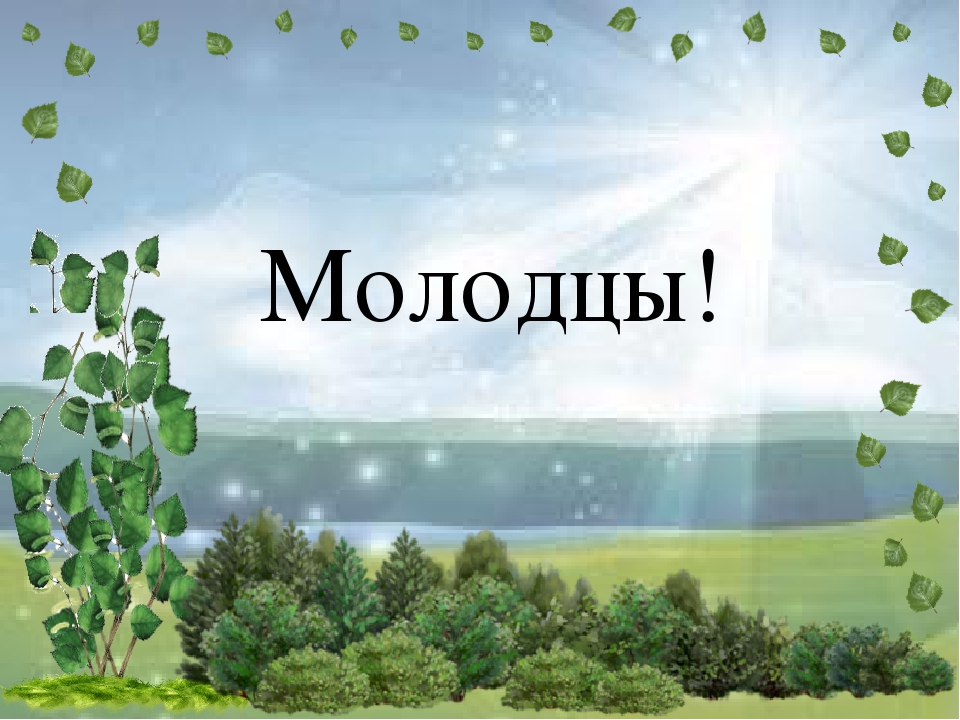 Интерактивное дидактическое пособие-игра "Четвертый лишний". Тема "Природа России"
