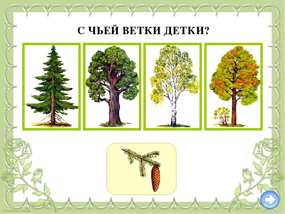 Тренажёр- игра по ознакомлению с окружающим на тему " В мире растений"