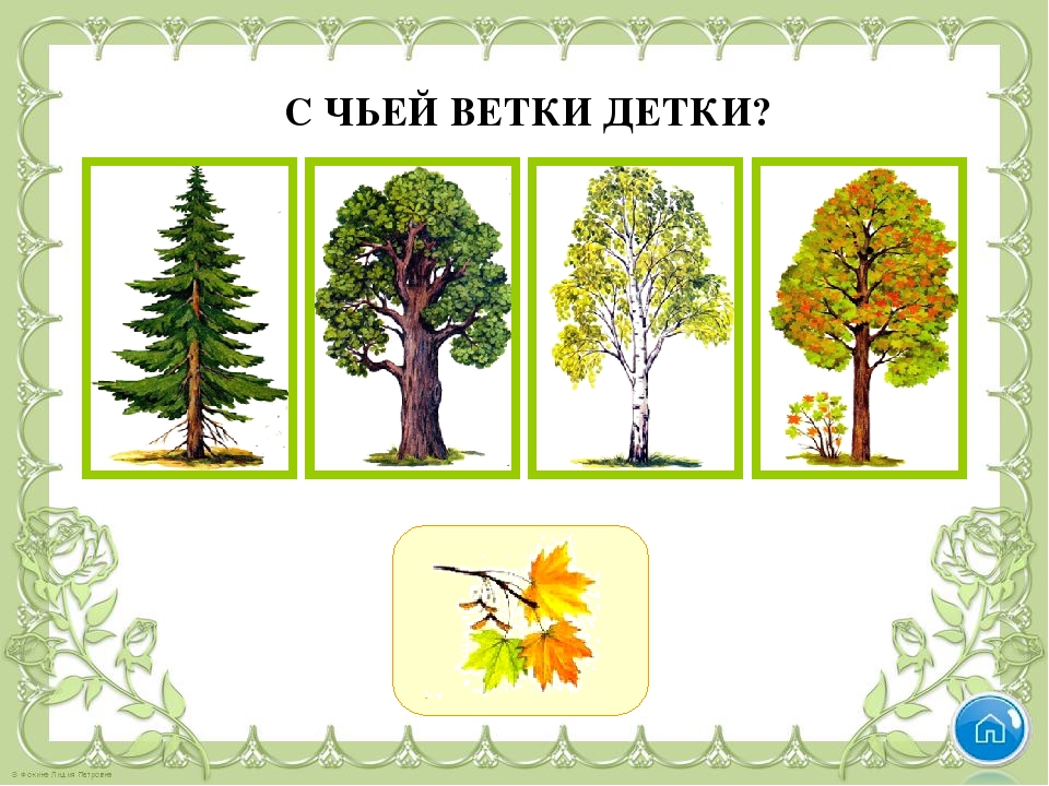 Тренажёр- игра по ознакомлению с окружающим на тему " В мире растений"