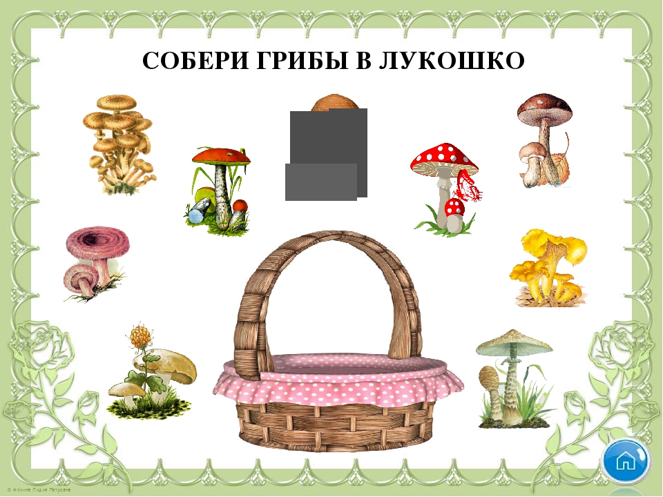 Тренажёр- игра по ознакомлению с окружающим на тему " В мире растений"
