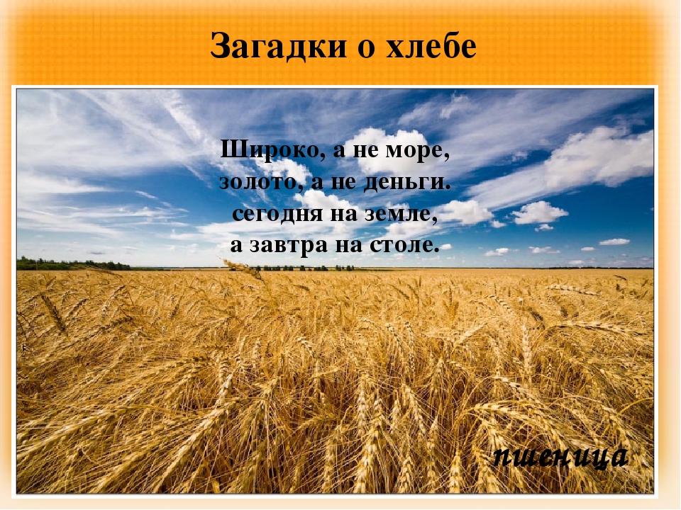 Презентация "Загадки и пословицы о хлебе"