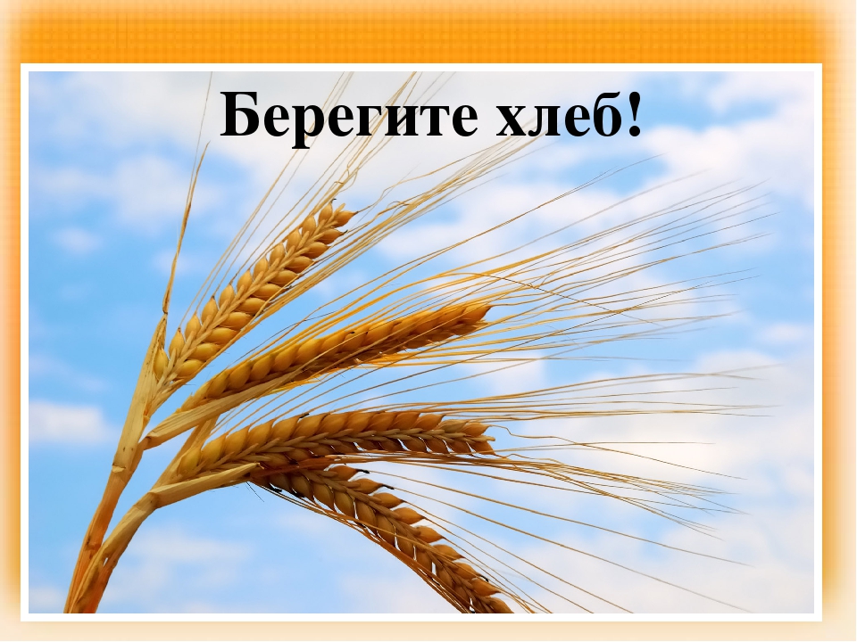 Презентация "Загадки и пословицы о хлебе"
