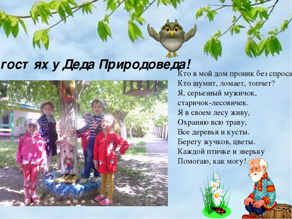 Презентация к году экологии 2017