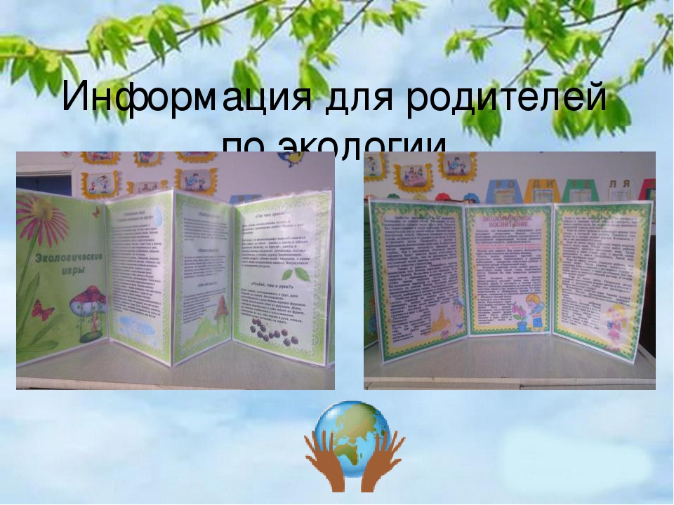 Презентация к году экологии 2017