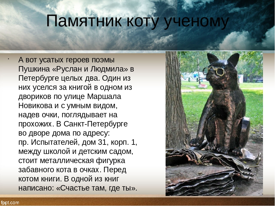 Презентация "Наш Приморский район" (Санкт-Петербург)