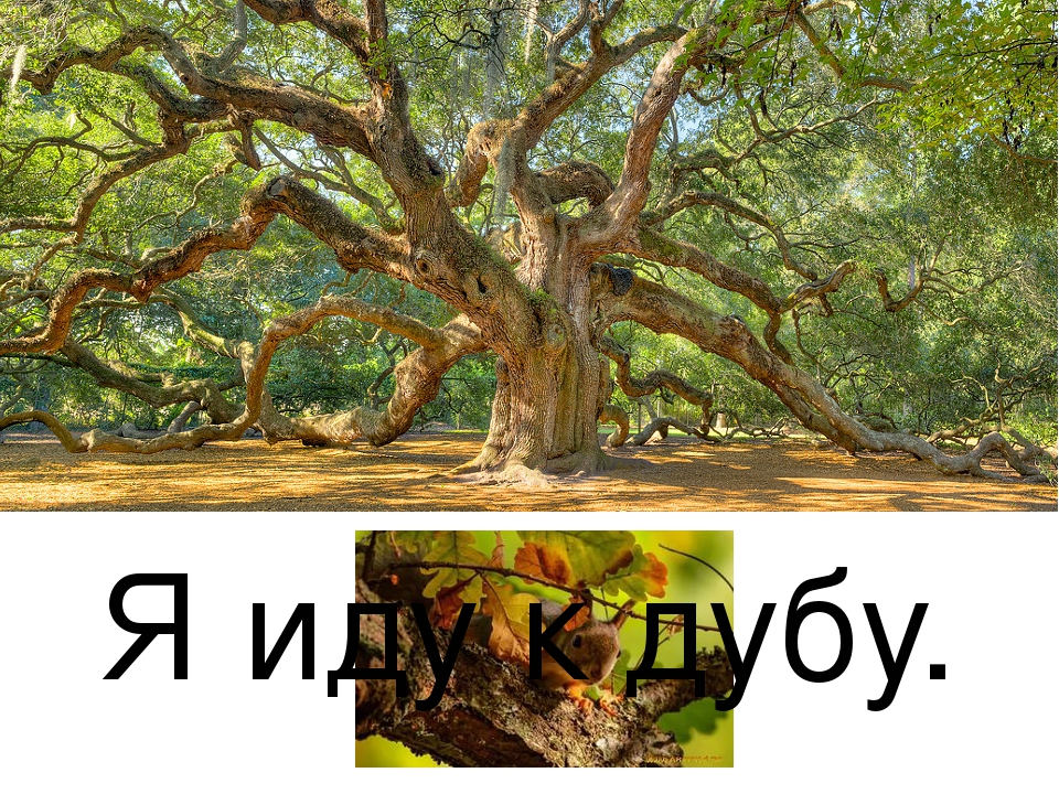Сборник из 4 презентаций. Обучение чтению по методике Т.С. Резниченко. Читаем по слогам, тема 2.