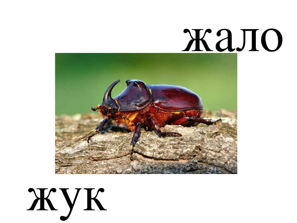 Сборник из 4 презентаций. Обучение чтению по методике Т.С. Резниченко. Читаем по слогам, тема 2.