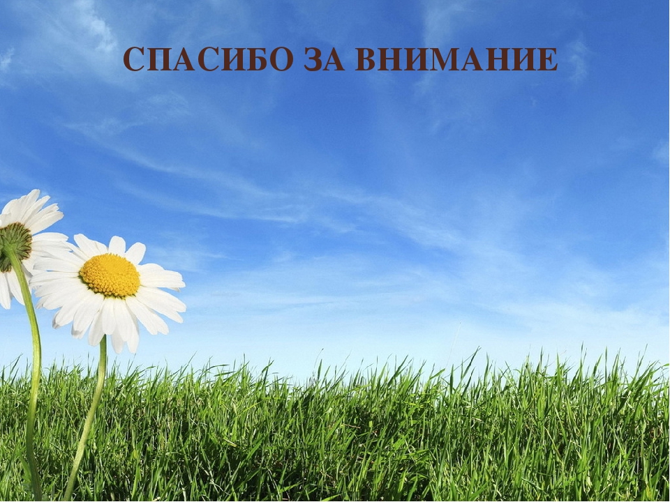 Презентация на тему "Развивающая среда в группах по профилактике дорожно-транспортного травматизма у дошкольников"