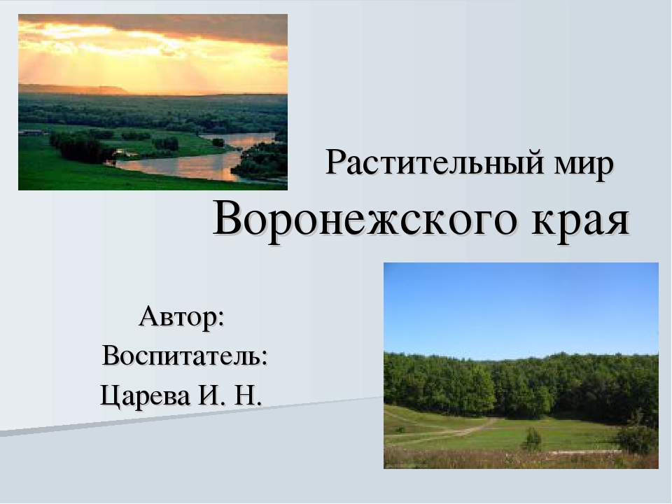 Презентация на тему "Растительный мир Воронежского края"