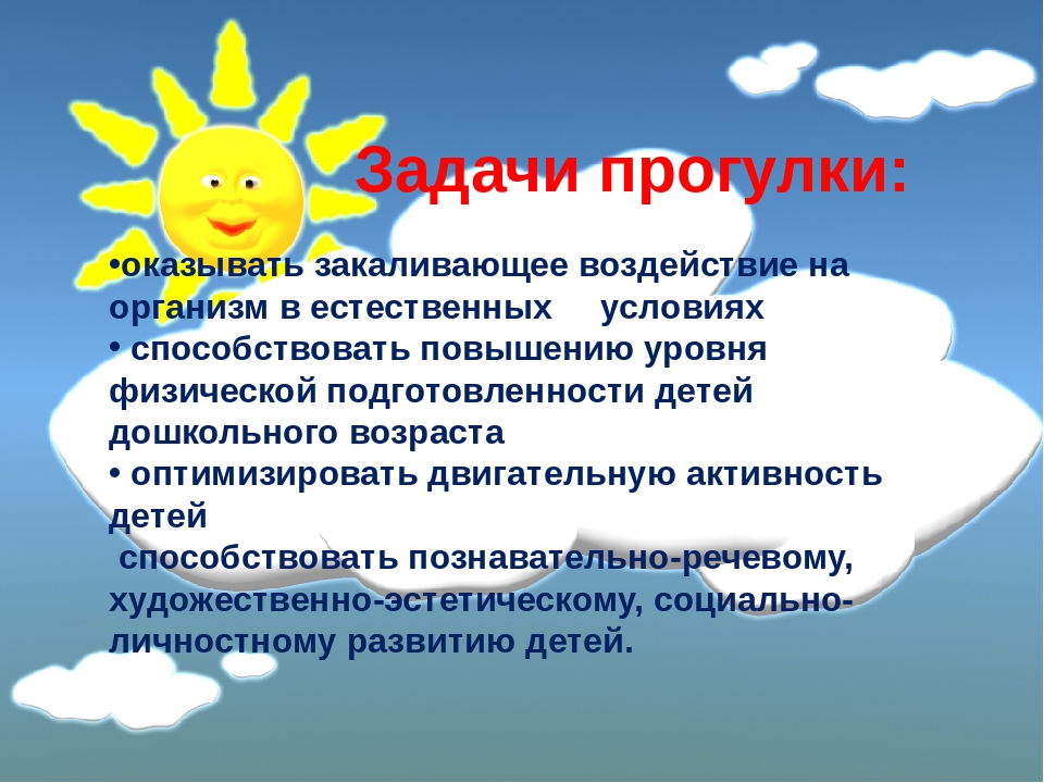 Презентация на тему "Организация и проведение прогулок в детском саду"
