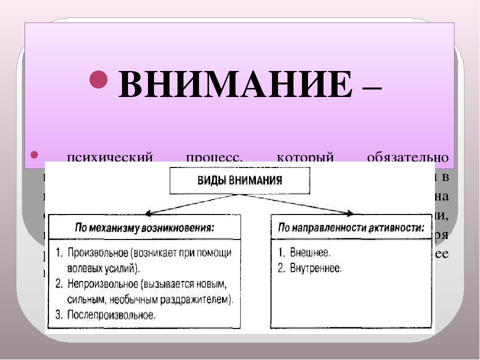 Игры для дошкольников на развитие познавательной активности