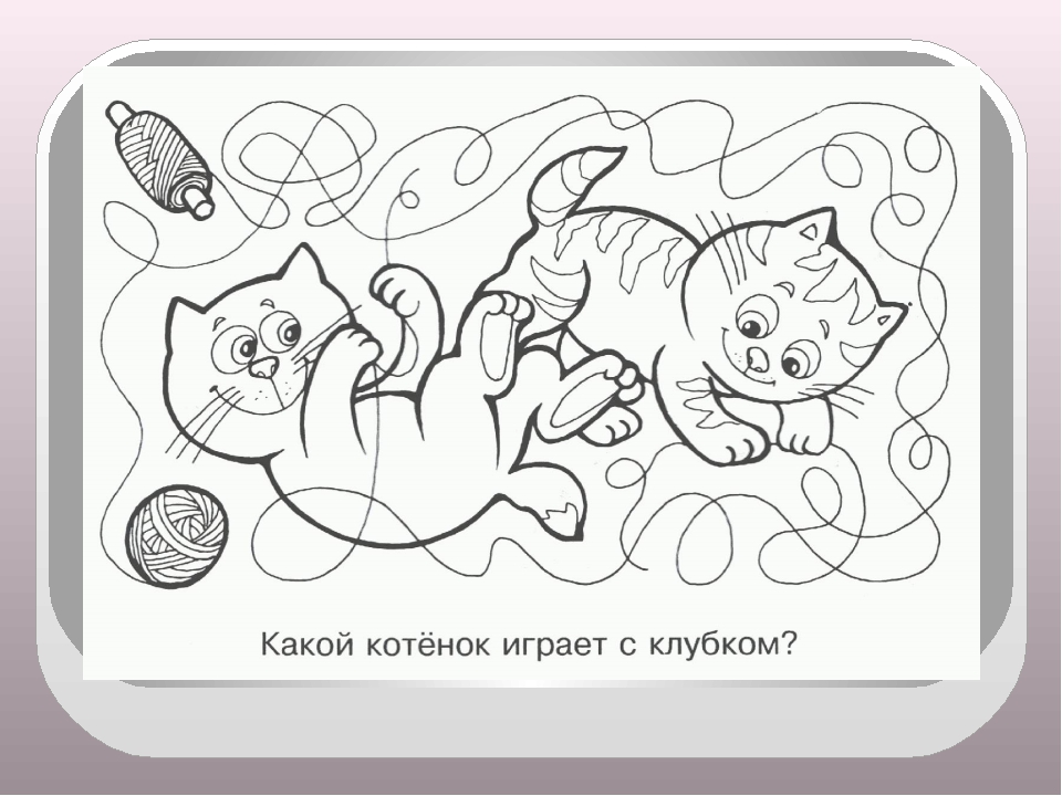 Игры для дошкольников на развитие познавательной активности