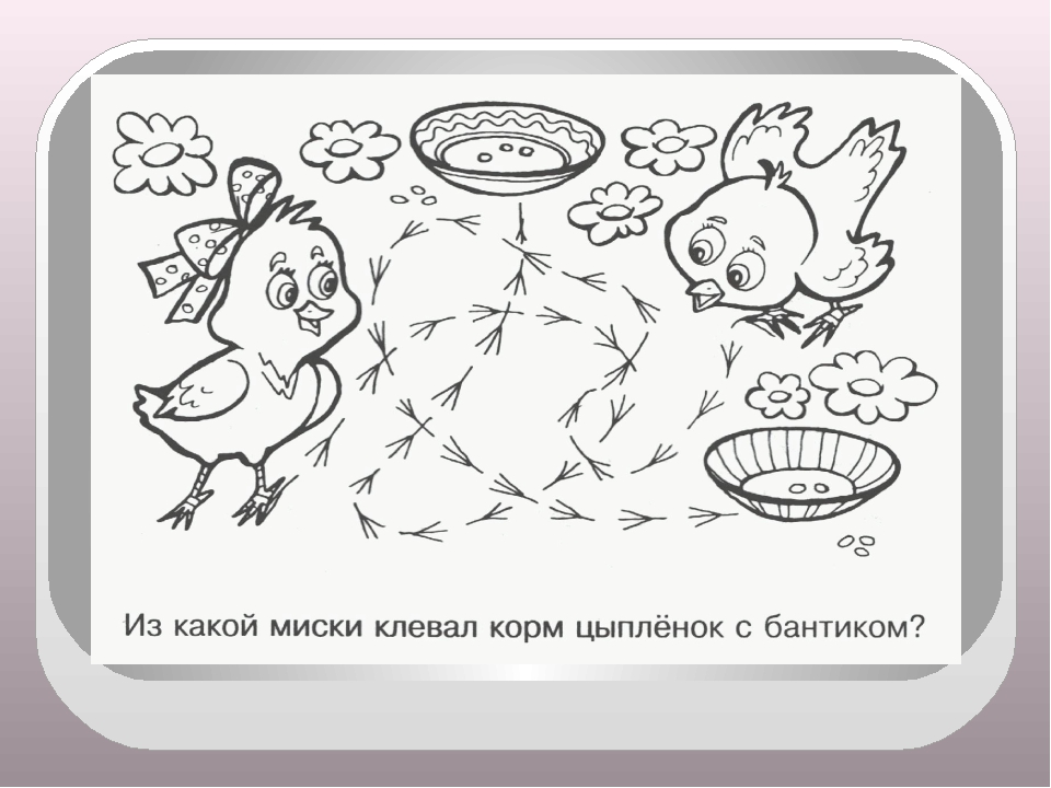 Игры для дошкольников на развитие познавательной активности