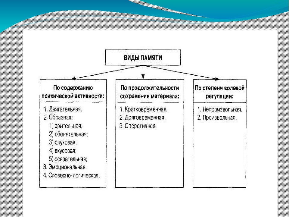 Развитие познавательных процессов. Виды памяти по содержанию. Виды памяти по содержанию психической активности. Виды памяти по степени волевой регуляции. Виды памяти по продолжительности сохранения материала.