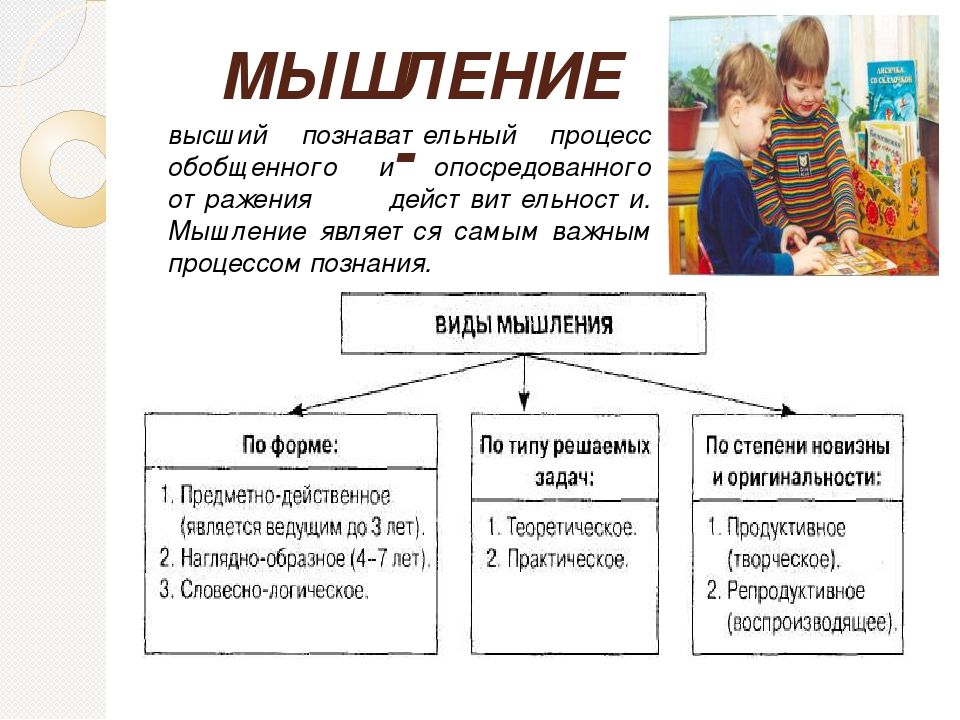 Игры для дошкольников на развитие познавательной активности