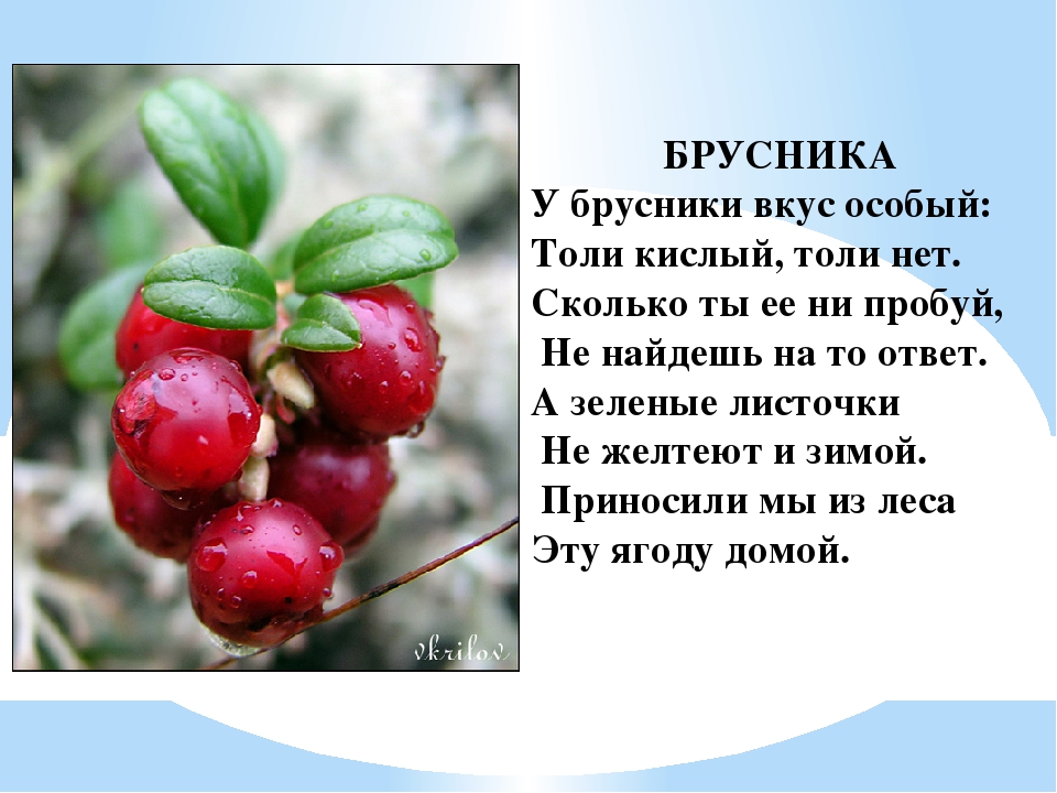 Презентация для дошкольников "Ягоды ЮГРЫ"