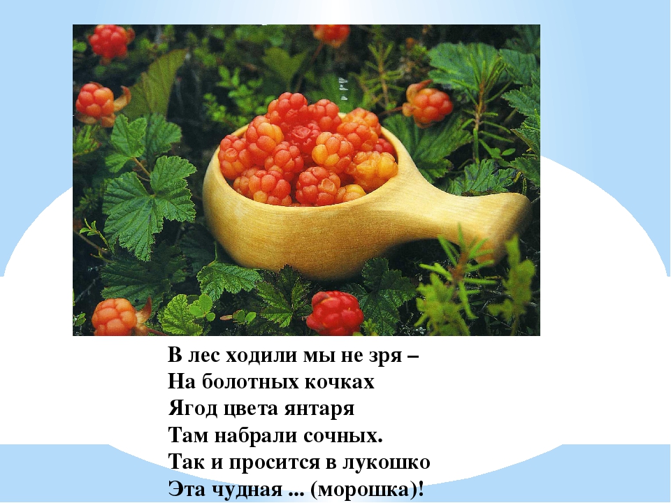 Презентация для дошкольников "Ягоды ЮГРЫ"