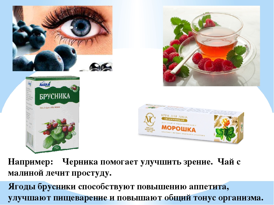 Презентация для дошкольников "Ягоды ЮГРЫ"