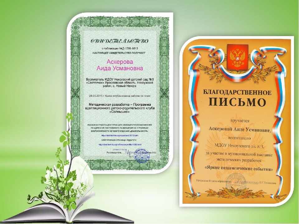 Презентация "Детско-родительский адаптационный клуб "Солнышко""