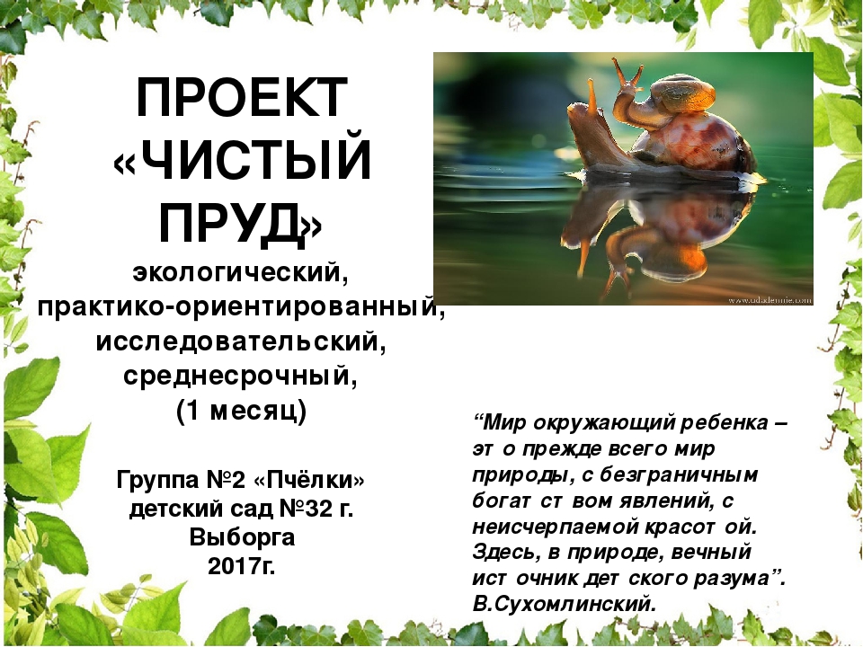 Проектная деятельность в ДОУ "Чистый пруд"