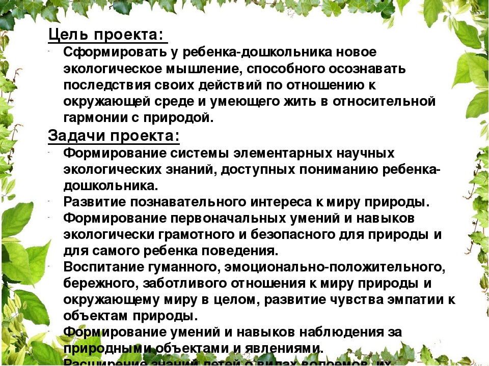 Проектная деятельность в ДОУ "Чистый пруд"