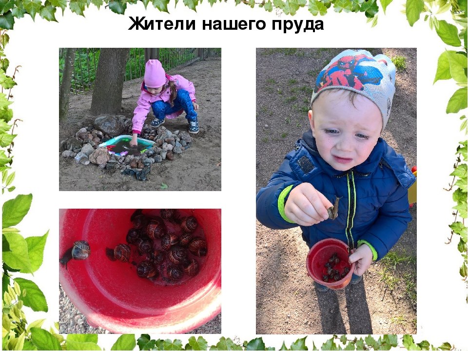 Проектная деятельность в ДОУ "Чистый пруд"
