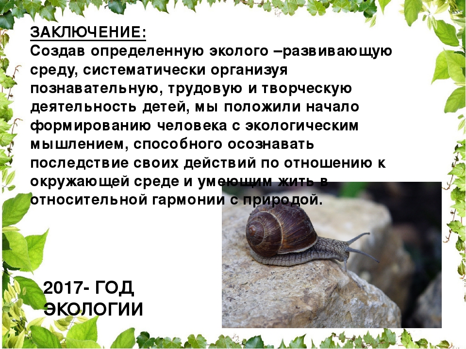 Проектная деятельность в ДОУ "Чистый пруд"