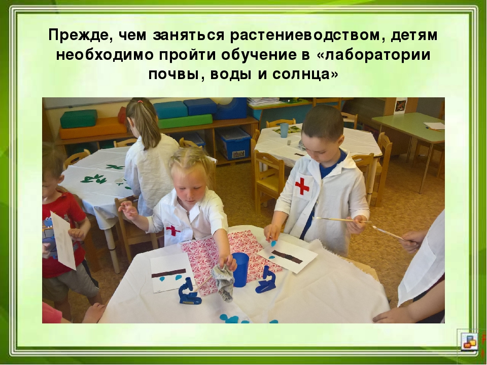 Проектная деятельность в ДОУ "Юные агрономы"