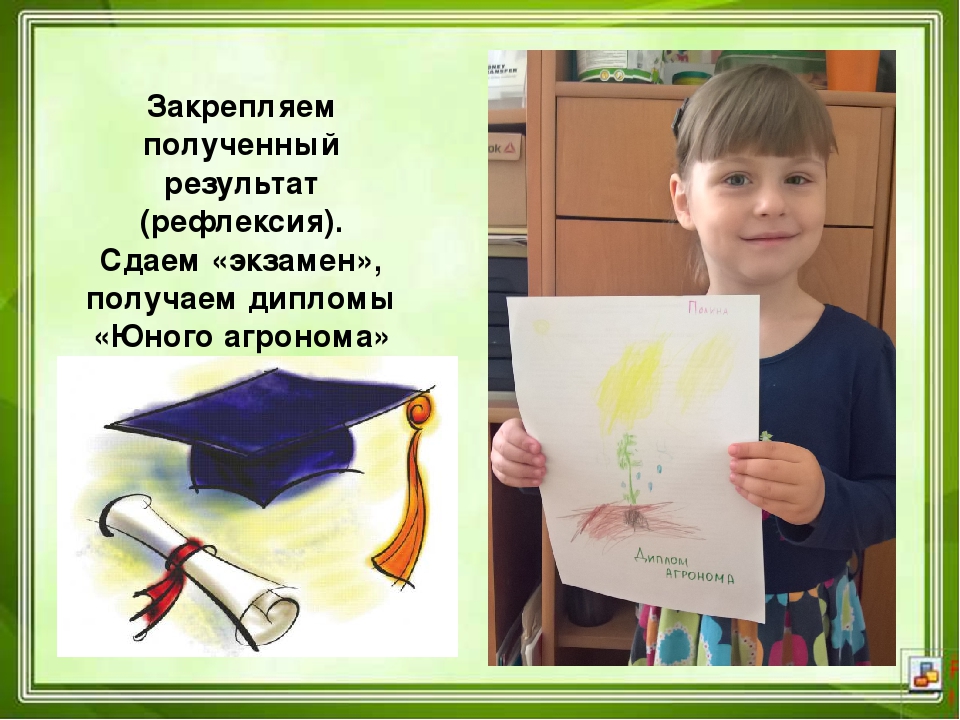 Проектная деятельность в ДОУ "Юные агрономы"