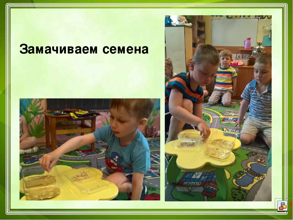 Проектная деятельность в ДОУ "Юные агрономы"