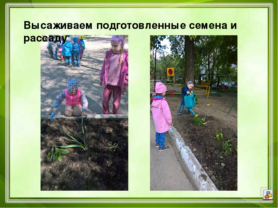 Проектная деятельность в ДОУ "Юные агрономы"