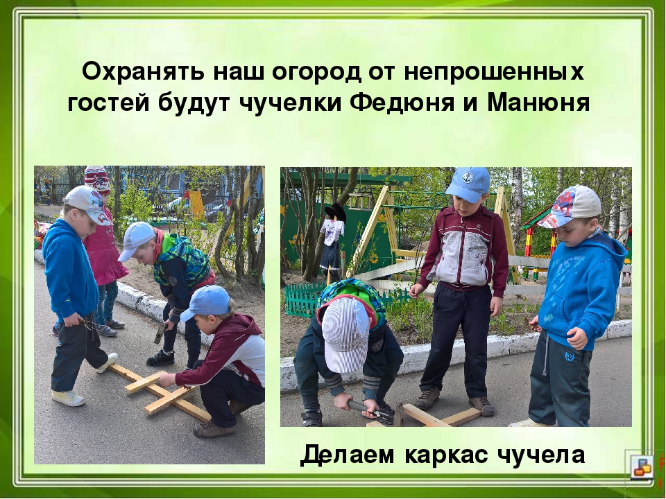 Проектная деятельность в ДОУ "Юные агрономы"