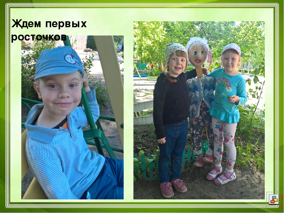 Проектная деятельность в ДОУ "Юные агрономы"