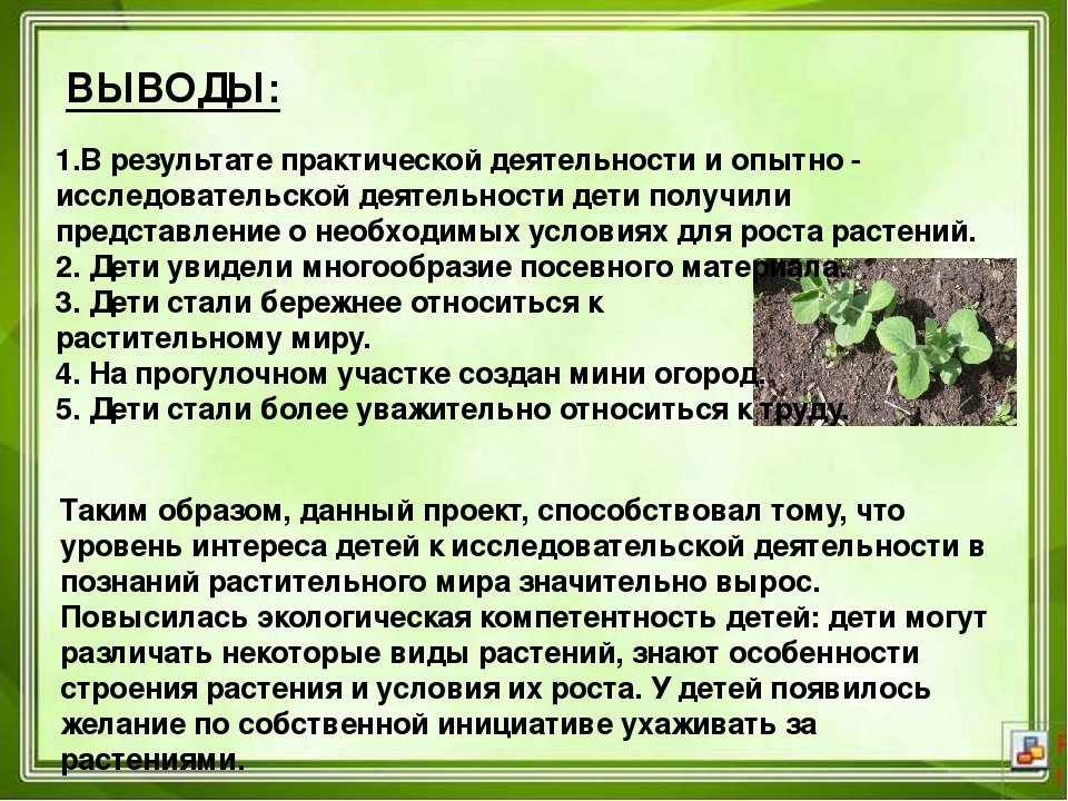 Проектная деятельность в ДОУ "Юные агрономы"