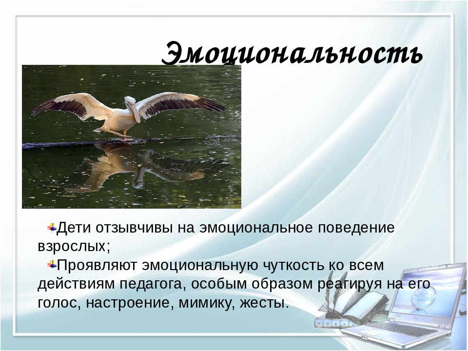 Презентация Речь воспитателя как пример речевого развития дошкольников