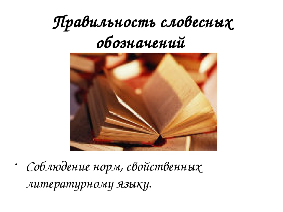 Презентация Речь воспитателя как пример речевого развития дошкольников