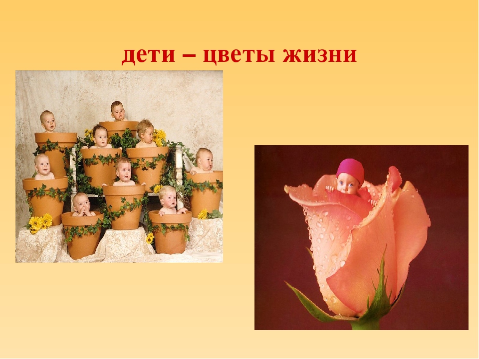 Презентация для воспитателей на тему "Агрессивный ребенок"