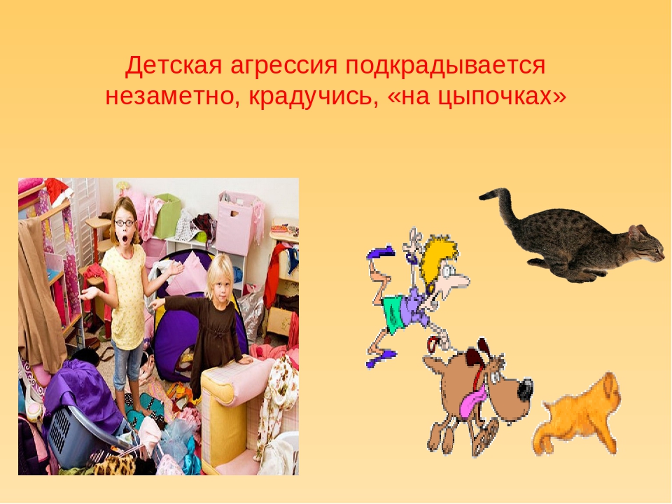 Презентация для воспитателей на тему "Агрессивный ребенок"