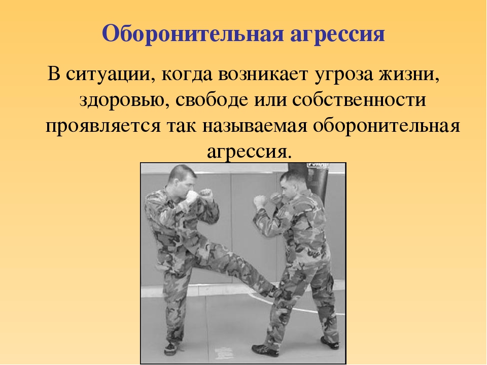 Презентация для воспитателей на тему "Агрессивный ребенок"