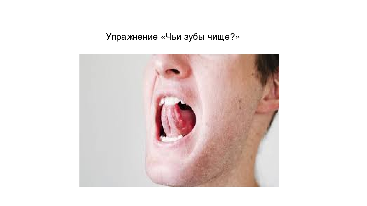 Презентация по развитию речи на тему: "Дифференциация звуков ж и ш" (старшая группа)