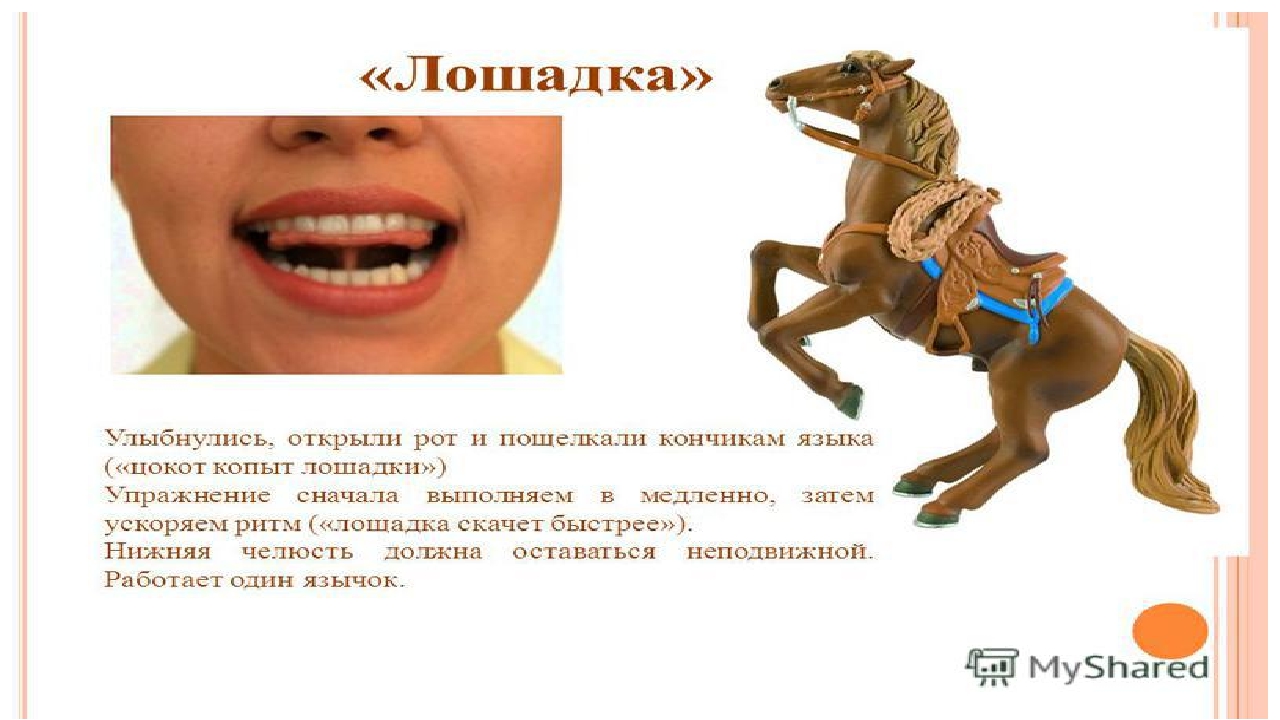 Презентация по развитию речи на тему: "Дифференциация звуков ж и ш" (старшая группа)